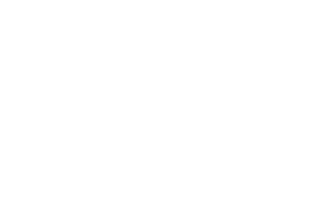 J.F.Rey